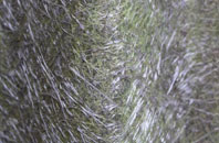 Smithy Green fibreglass roof work